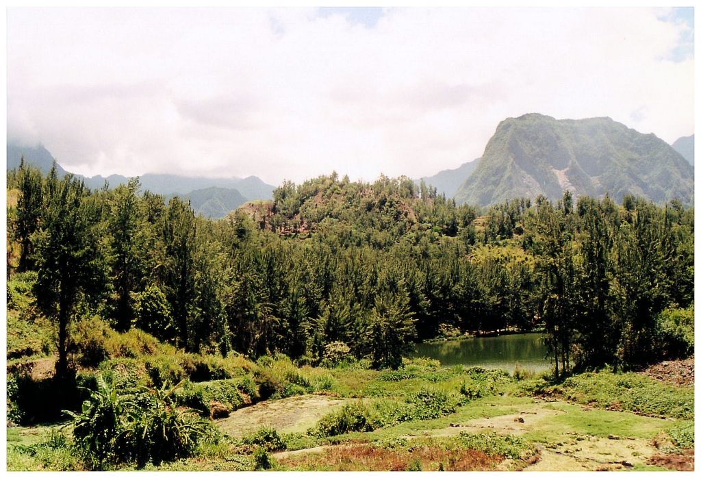 03 - Salazie (11).jpg